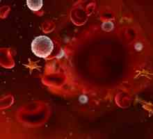 Systém AB0 a dědičnost krevních skupin u lidí