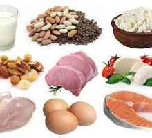 Kolik bílkovin strávit na jednom jídle? Bílkovin a sacharidů v potravinách