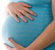 Kolik týdnů těhotná žena chodí? dáváme odpověď