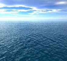 Сколько океанов на Земле: споры о точном количестве