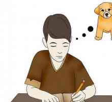 Tipy pro děti: Jak přesvědčit rodiče, aby si psa