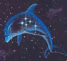 Созвездие дельфин - маленькое, но интересное