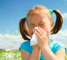 Finanční prostředky z alergií u dětí. Co jsou zač?