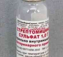 Znamená "streptomycin". Návod k použití
