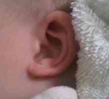Článek o tom, jak se umýt ucho doma