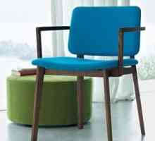 Židle s područkami - univerzální nábytku a domova a práce