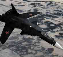 Су-47 "беркут": фото, характеристики. Почему закрыли проект?