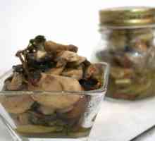 Čerstvé houby: jak naložit je vynikající. Tipy a recepty