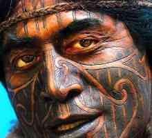 Tetování „Maori“: Důsledky pro pokolení, jak se uplatnit, jaký je rozdíl