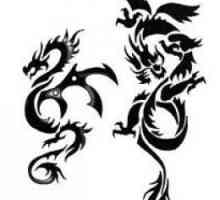 Tetování draka. Druhy draků (foto)