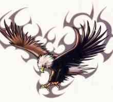 Tetování „Eagle“ - symbol svobody a odvahy