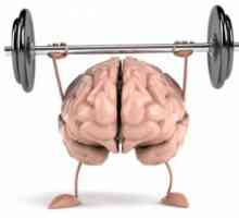 Brain Training: cvičení. Trénovat mozek a paměť