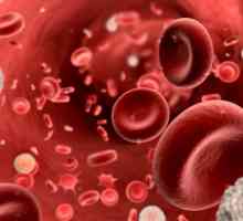 Krevní destičky: normou. Krevních destiček v těhotenství