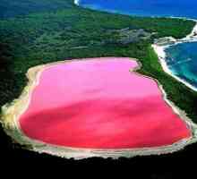 Удивительная Австралия: Хиллер - розовое озеро с соляными берегами