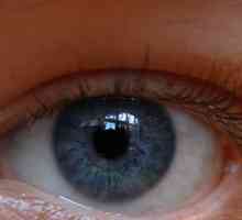 UV Eye Research Institute. Ufa Výzkumný ústav očních chorob