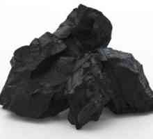 Уголь каменный: свойства. Каменный уголь: происхождение, добыча, цена