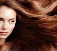 Péče kosmetika koncepce pro vlasy: popis