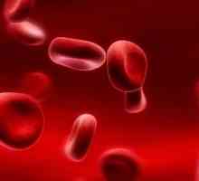 Hladina hemoglobinu v krvi: norma a patologie