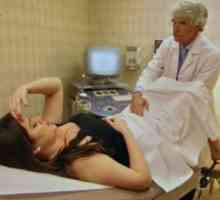 Ultrazvuk dělohy: typy a indikace k