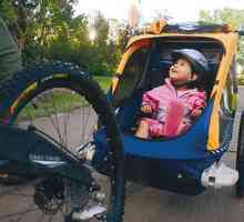 Přívěs jízdního kola pro dítě - spolehlivý pomocník při cestování s dětmi
