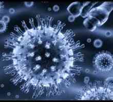 Virová infekce Epstein-Barrové: relevance, epidemiologie, klinické příznaky, léčba