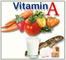 Vitamin A a E, které obsahují vitamin A a vitamin E? Potraviny, které obsahují vitaminy A a E