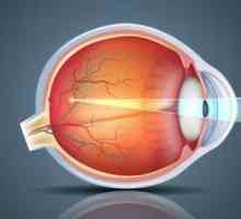 Vitamin kapky pro vaše oči - což je lepší pro glaukom, krátkozrakost. Jaké jsou nejlepší vitaminové…