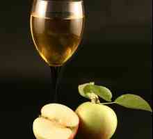 Chutné víno z jablek. Recept na domácí použití