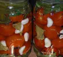 Delicious marinované rajčata: domácí recept