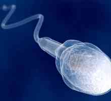 Jak starý objeví spermie u chlapců