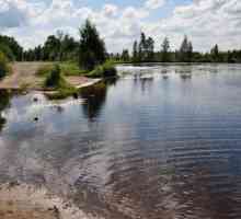 Волоярви - озеро в Ленинградской области. Описание, рыбалка, фото