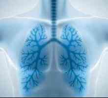 Pneumonie: Příznaky (bez horečky). Jaké jsou příznaky zápalu plic