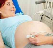 Má ultrazvuk je škodlivá pro plod ve druhém trimestru?