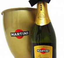 Vyberte si, pití a občerstvení šumivé víno Martini Prosecco