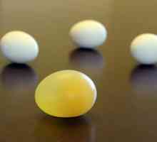 Proč polovina vejce rozmazání zubní pastu? Experiment pro děti s vejcem
