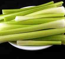 Zdravé stravování nebo jíst celer.