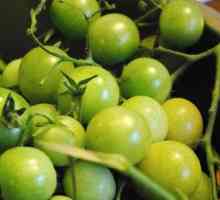 Zelená rajčata pod krytem nylonové - recepty