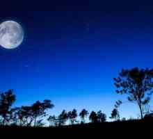 Земная ночь - это удивительное явление, дарованное человечеству