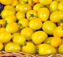 Žlutá rajčata na zimu: recepty