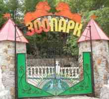 Zoo (Yalta): struktura, zejména