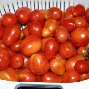 Víte, jak marinovat rajčata v bance?