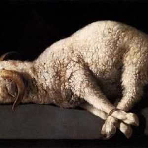 Lamb - oběť ve jménu humanity
