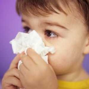 Alergie: léčba dětí, stejně jako příčiny nemocí