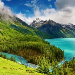 Altai balzámy - tyto přípravny Mother Nature