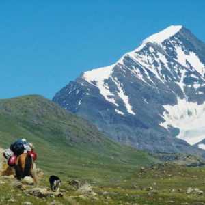 Altai Krai a Altai Republic - nádherných míst pro rekreaci