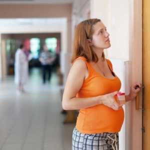 Analýza moči v průběhu těhotenství Nechiporenko. Daily moč