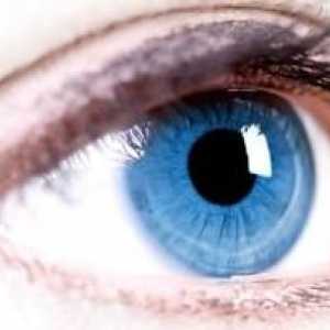 Angiopatie sítnice očí. rizikové skupiny, druhy, léčba