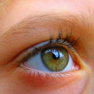 Angiopatie sítnice očí: příčiny, příznaky a léčebné metody