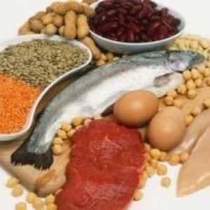 Proteinové potraviny - to je to, co kategorie produktu? Jeho výhody a poškozuje
