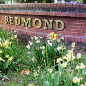 Blender "Redmond": recenze. Funkcích, cenách fotky